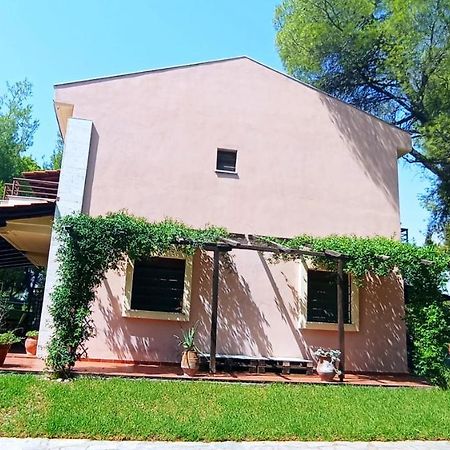 High Aesthetics Maisonette In The Wood By The Sea 美塔摩尔弗斯 外观 照片