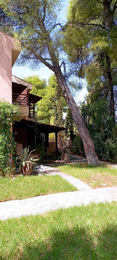 High Aesthetics Maisonette In The Wood By The Sea 美塔摩尔弗斯 外观 照片