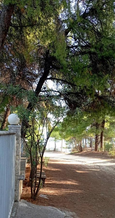 High Aesthetics Maisonette In The Wood By The Sea 美塔摩尔弗斯 外观 照片
