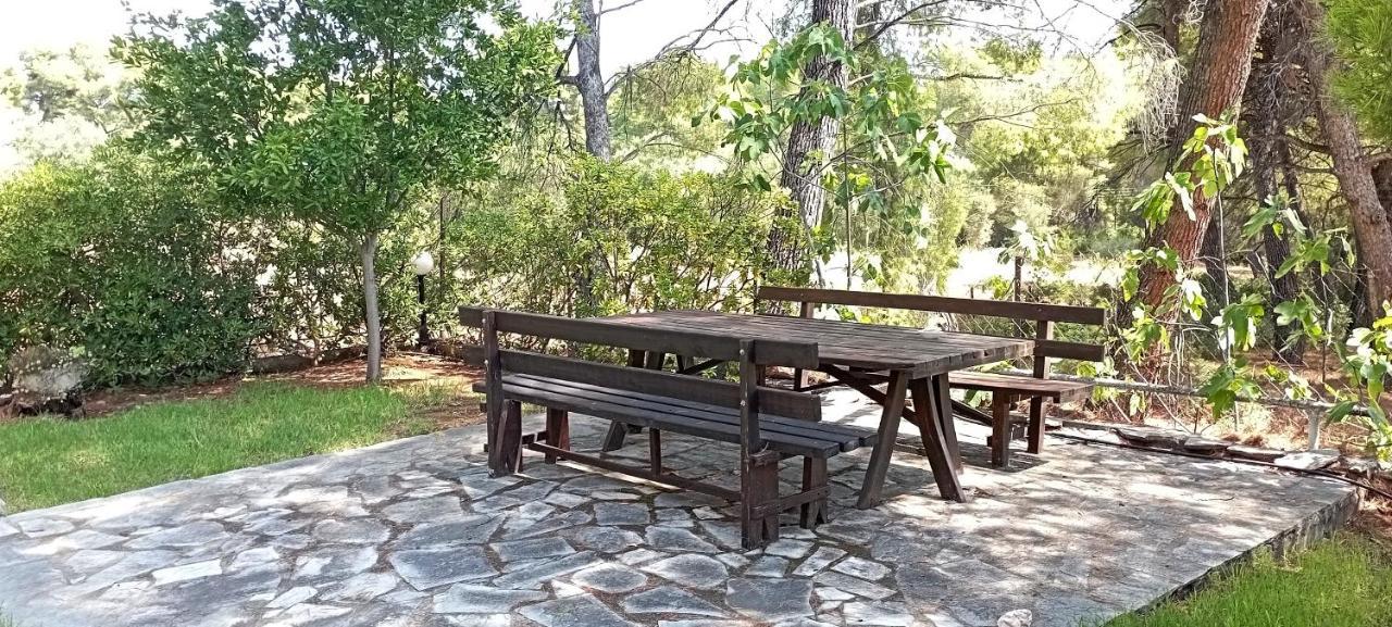 High Aesthetics Maisonette In The Wood By The Sea 美塔摩尔弗斯 外观 照片
